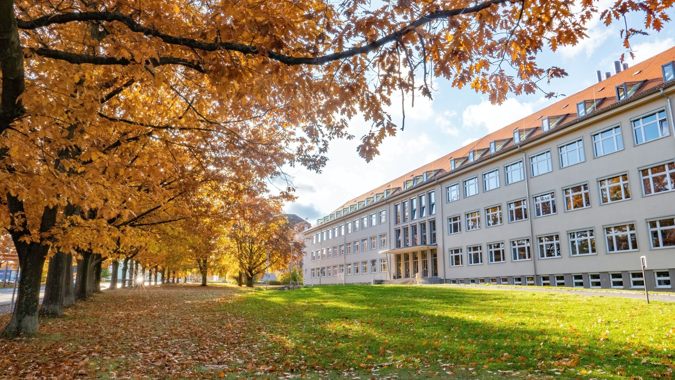 Autumn trees on a university campus